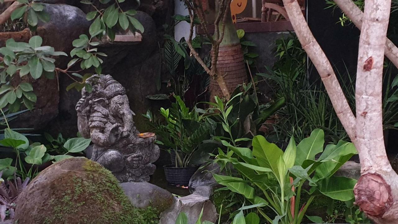 Clover Bali 金巴兰 外观 照片